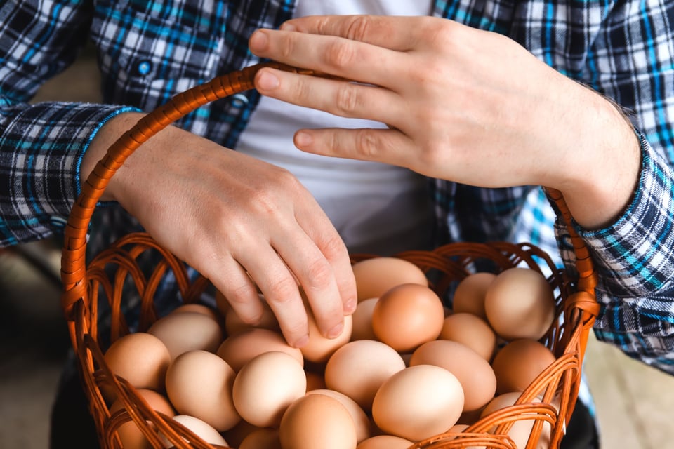Beneficios del huevo
