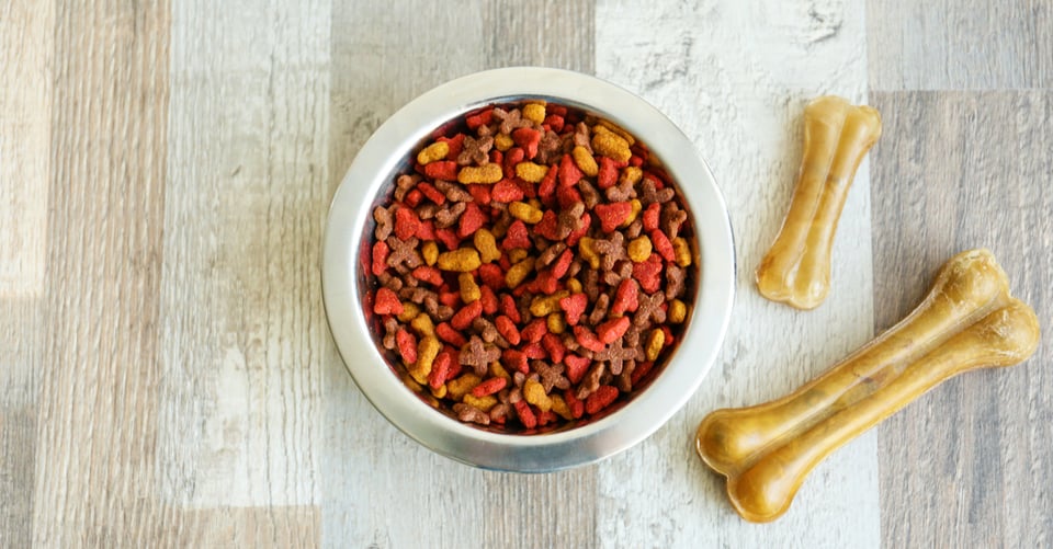 Alimento para can que pudo haberse comprado en Dollar T