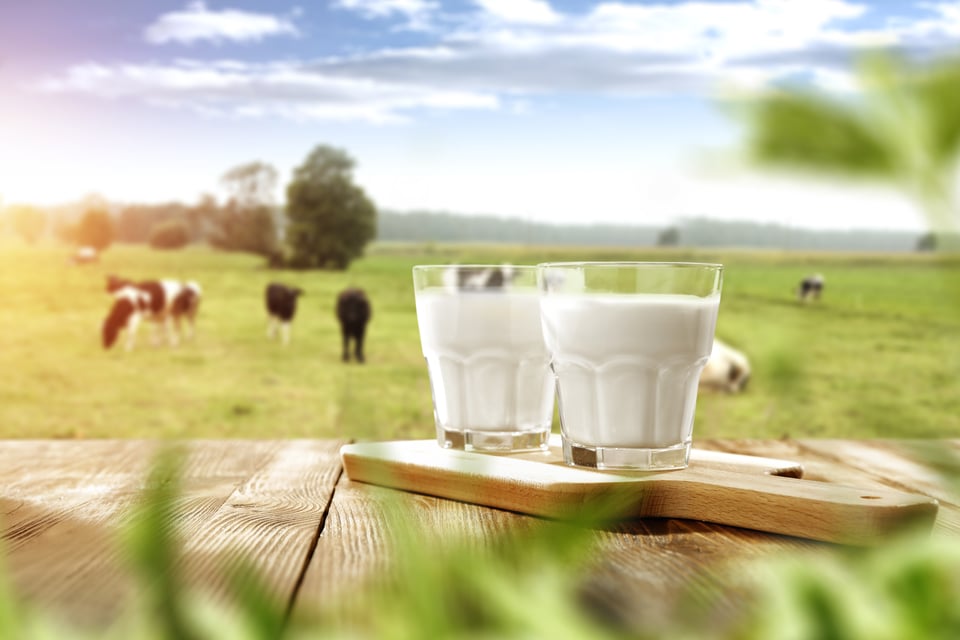 Elección adecuada de leche