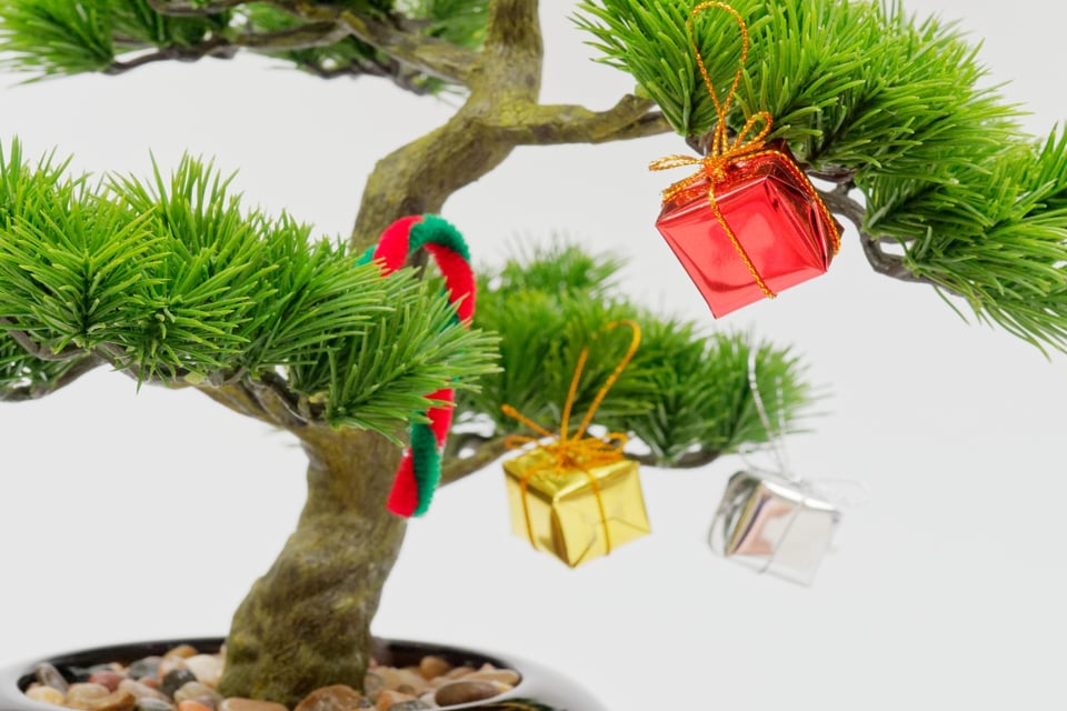 Ideas decorar árbol Navidad, árbol Navidad, bonsái, Navidad, MundoNOW