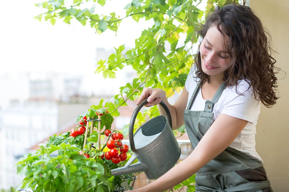balcon, jardin, riego, mujer, MundoNOW