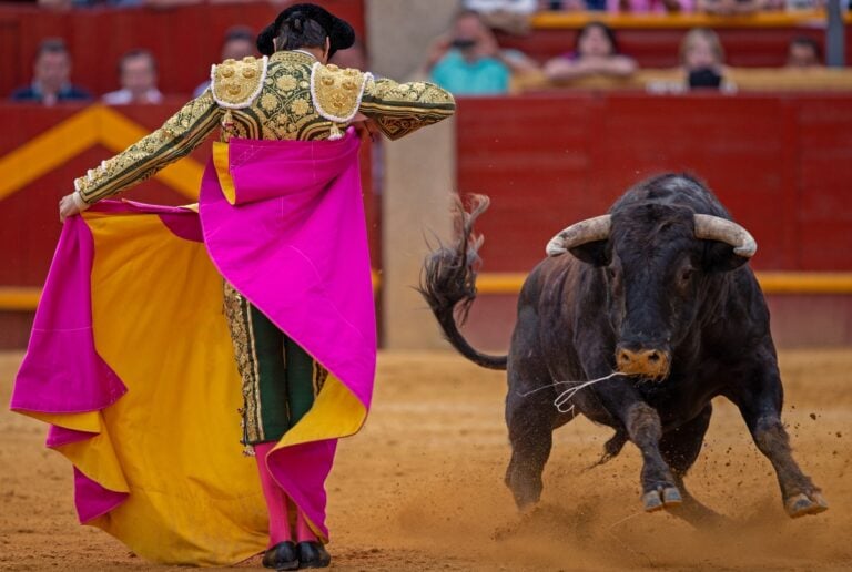 Muere el torero mexicano Rafael Ortega Blancas, a los 53 años